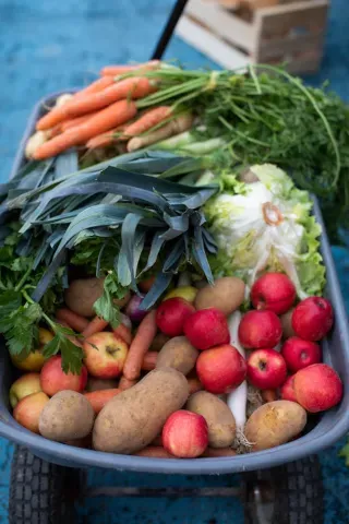 fruits et légumes 