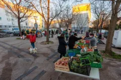 Marché Paysan des Aubes 