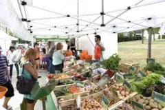 Marché Malbosc