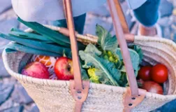 Marché du Crès