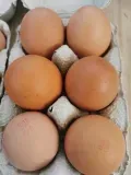 Œufs 