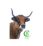 Ferme coste belle