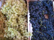 marché_pinet