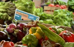 marché cap agde