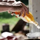 Vin orange