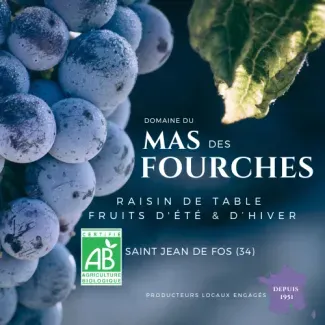 Fruits Bio Hérault