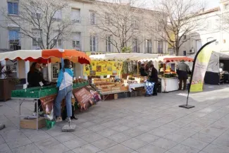 Marché producteurs pays Frontignan