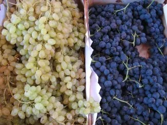 marché_pinet