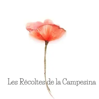 Coquelicot et nom de l'entreprise