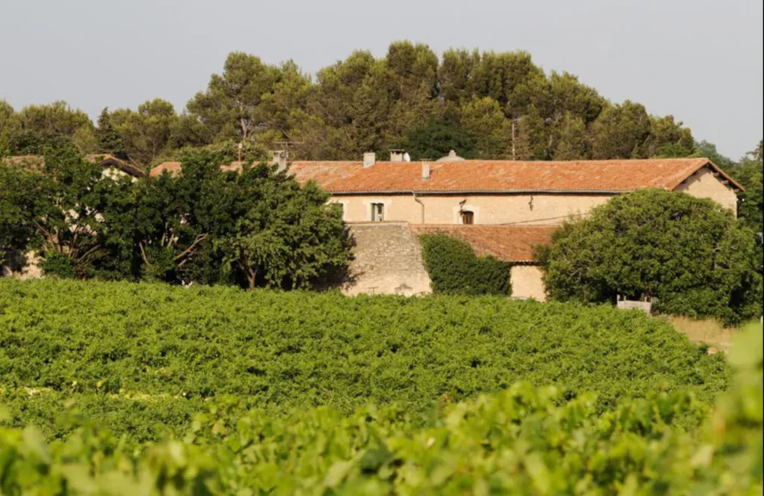 Vue depuis les vignes sur le Mas Languedocien du Château de Fourques