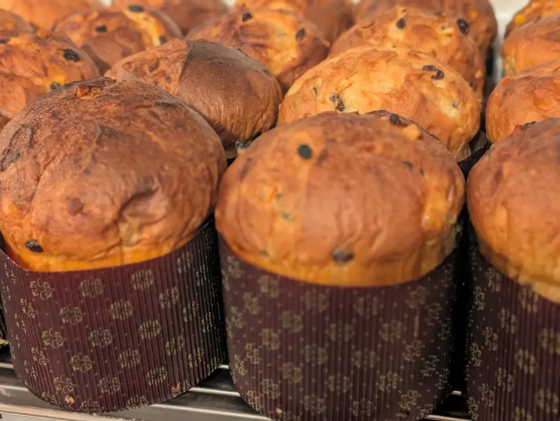 panettone