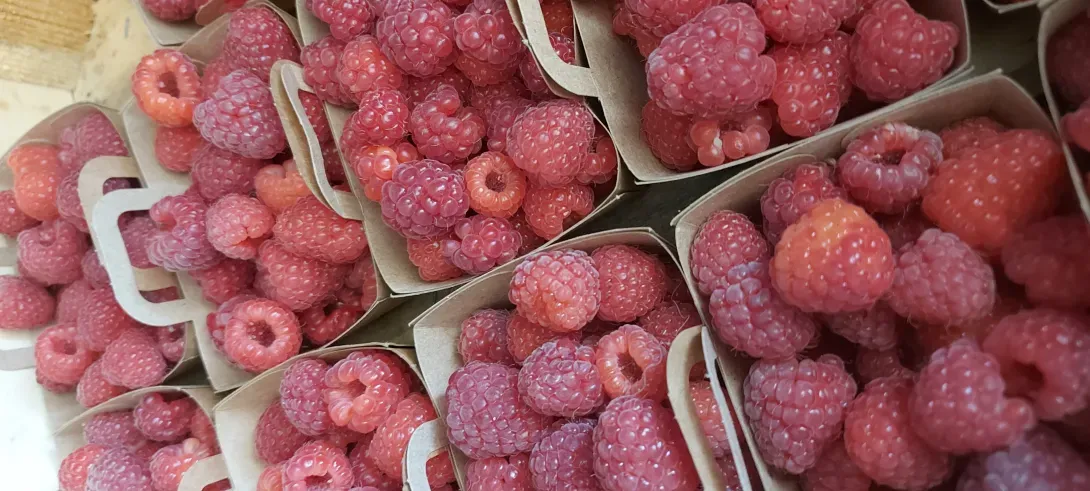 Framboises