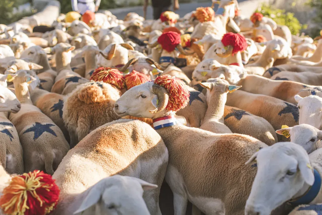 La ferme du Pic