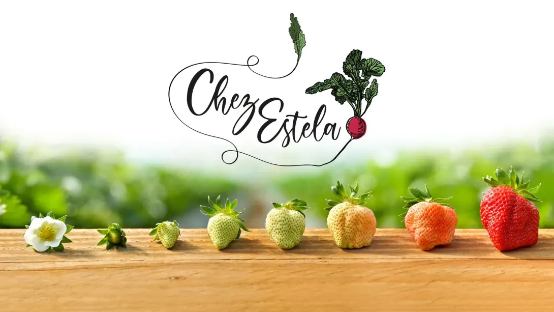logo2